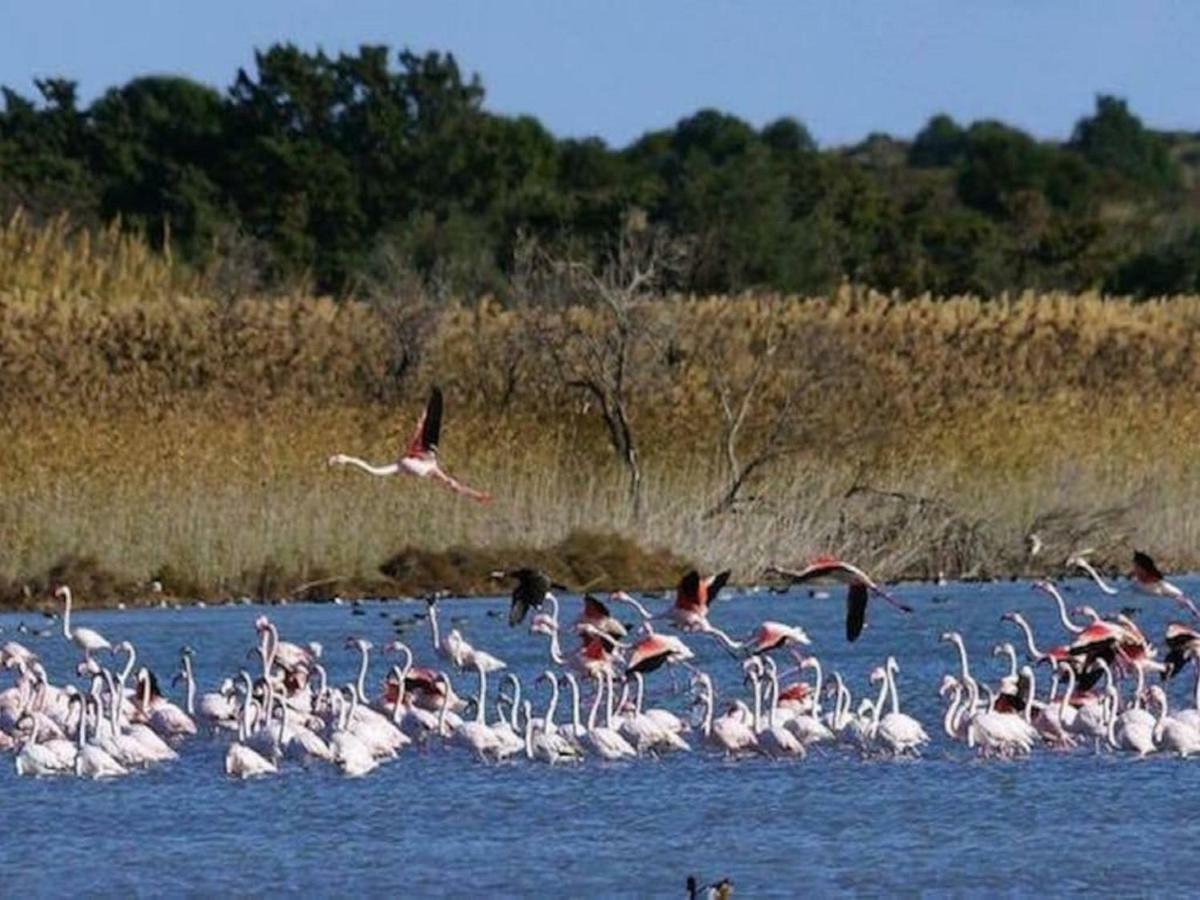 Casa Vacanze A Pennichella Canicattini Bagni Buitenkant foto